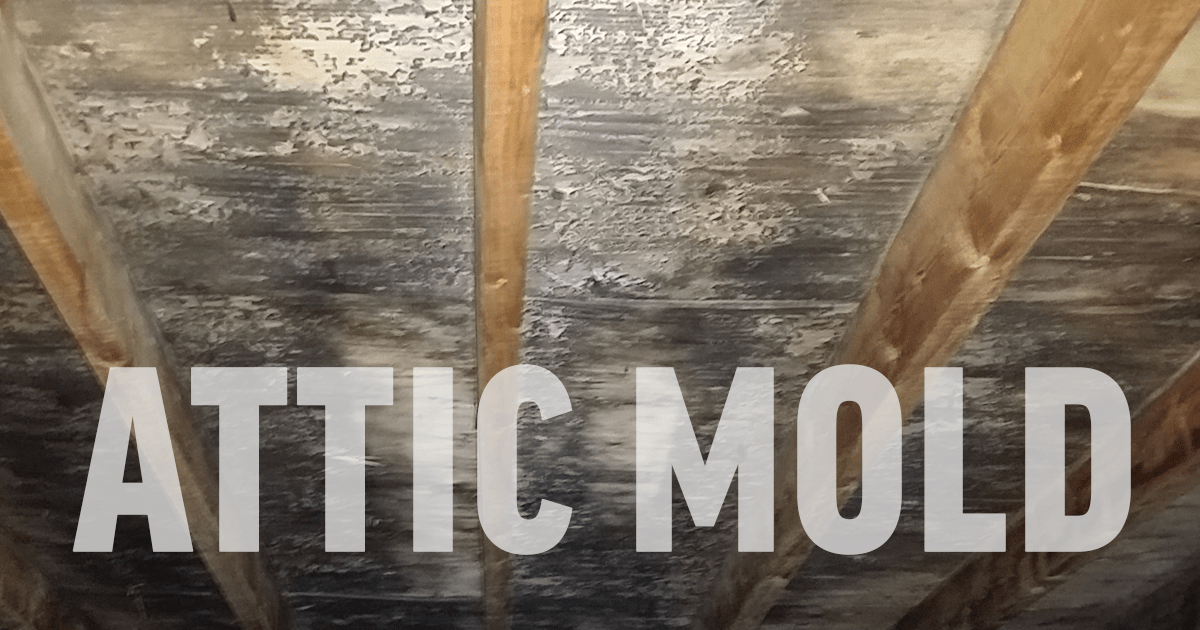Attic Clean‑Out
